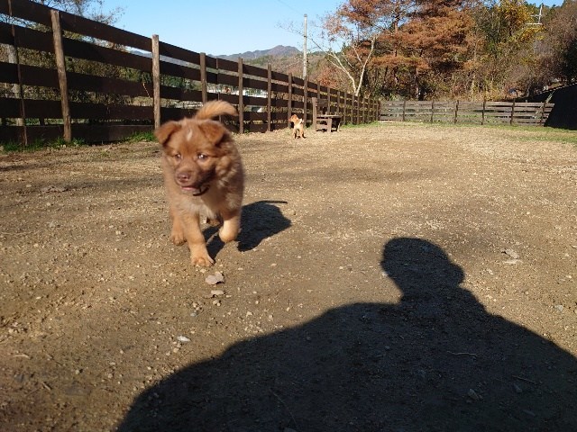 f:id:roukenhome-ann:20201205134032j:plain