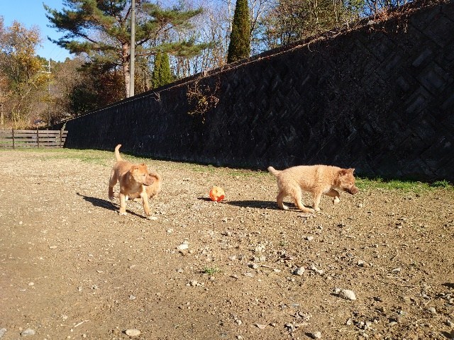 f:id:roukenhome-ann:20201205134107j:plain