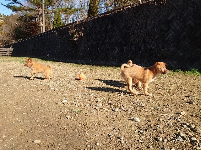f:id:roukenhome-ann:20201205134114j:plain