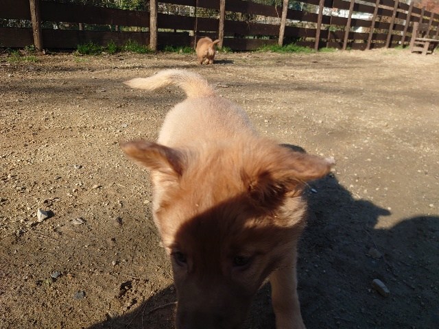 f:id:roukenhome-ann:20201205134159j:plain