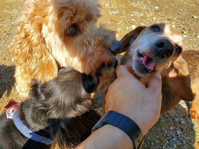 f:id:roukenhome-ann:20201205135343j:plain