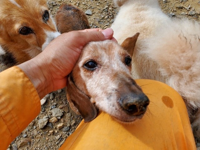 f:id:roukenhome-ann:20201205135513j:plain