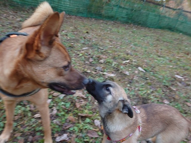f:id:roukenhome-ann:20201209153207j:plain