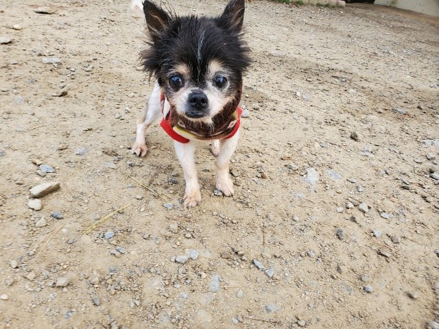 f：id：roukenhome-ann：20201223142100j：plain