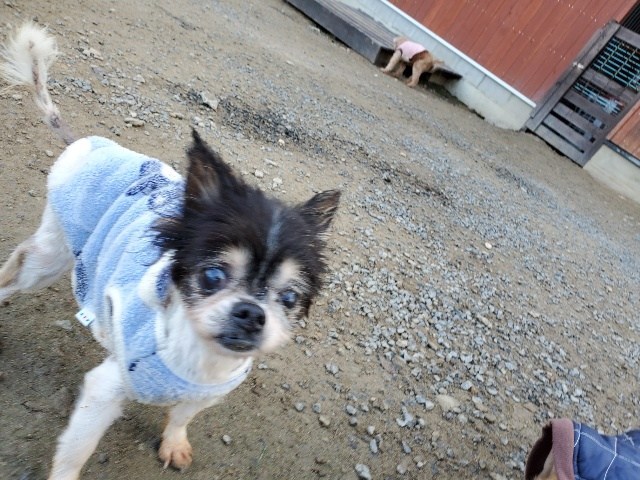 f：id：roukenhome-ann：20201223142209j：plain