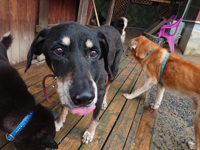 f：id：roukenhome-ann：20210118084231j：plain