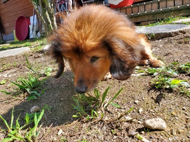 f：id：roukenhome-ann：20210118084340j：plain