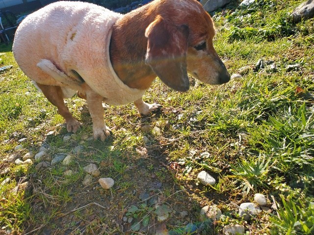 f：id：roukenhome-ann：20210121204349j：plain