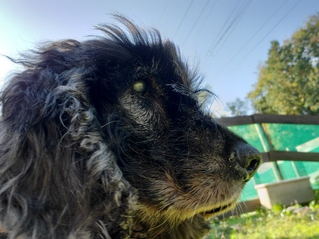 f：id：roukenhome-ann：20210122171638j：plain