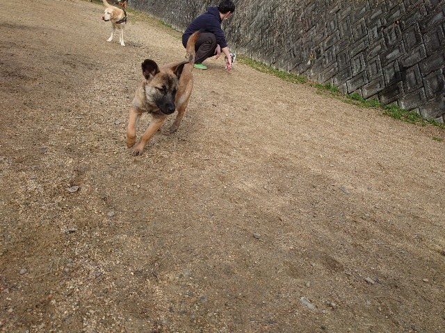 f:id:roukenhome-ann:20210129165615j:plain