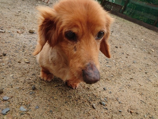 f：id：roukenhome-ann：20210208085622j：plain