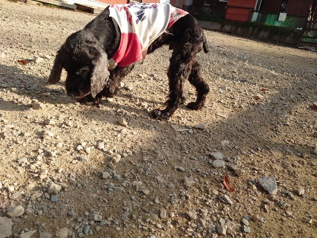 f：id：roukenhome-ann：20210208090616j：plain