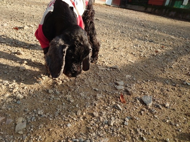 f：id：roukenhome-ann：20210208090621j：plain