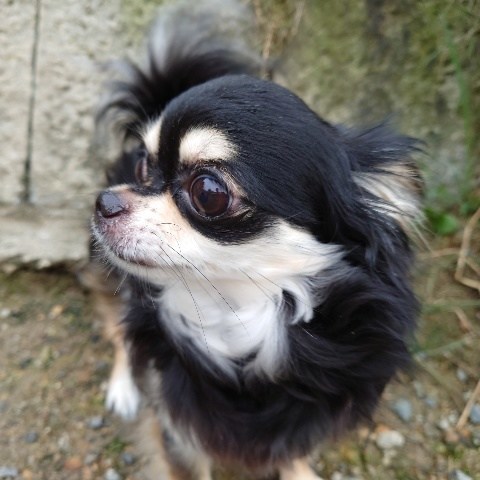 f:id:roukenhome-ann:20210804075410j:plain