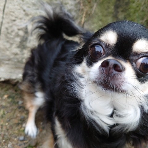 f:id:roukenhome-ann:20210804075413j:plain