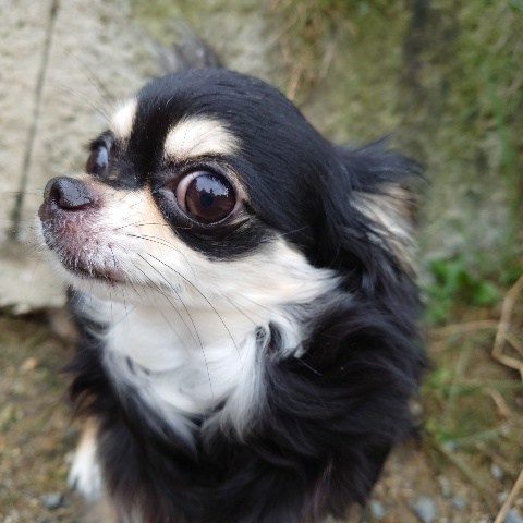 f:id:roukenhome-ann:20210804075420j:plain