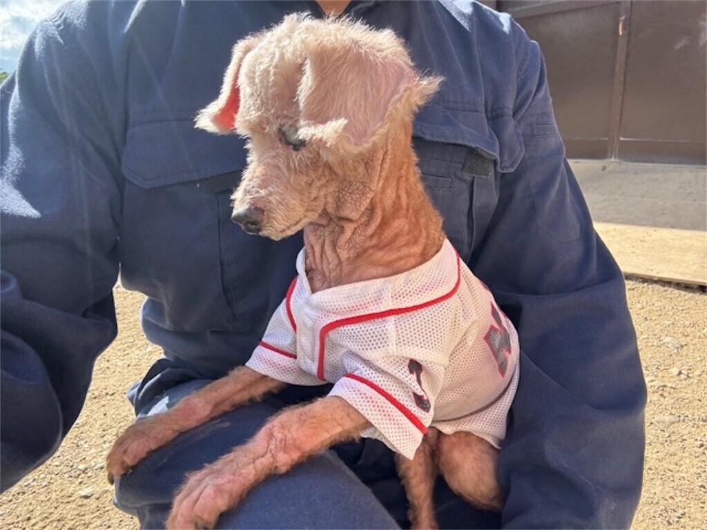 f:id:roukenhome-ann:20240604143956j:image