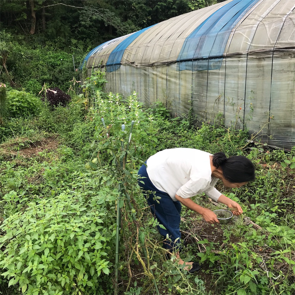 f:id:rousokuyo:20190927002102j:image f:id:rousokuyo:20190927002102j:image