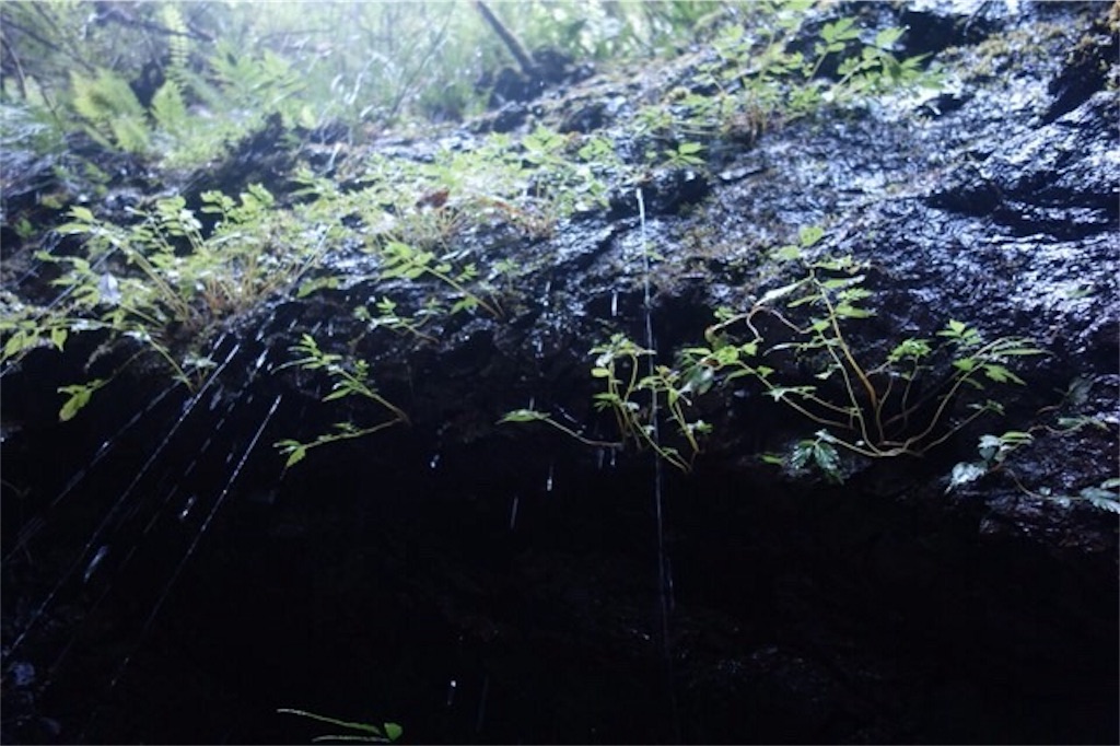 f:id:rousokuyo:20190927002439j:image f:id:rousokuyo:20190927002439j:image