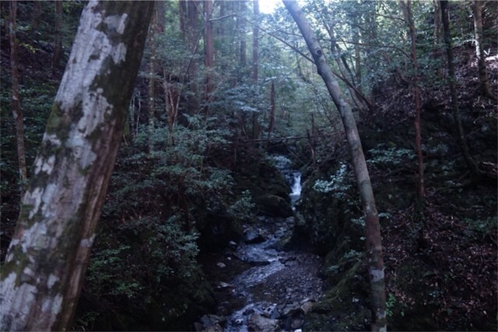 f:id:rousokuyo:20190927002441j:image f:id:rousokuyo:20190927002441j:image