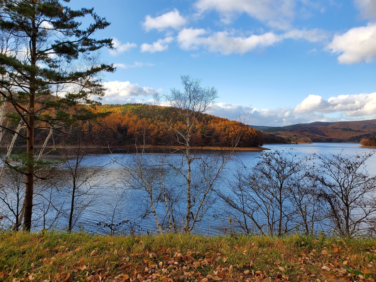 f:id:route66ram:20201214065553j:plain