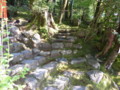 上賀茂神社　相生社近くにて苔