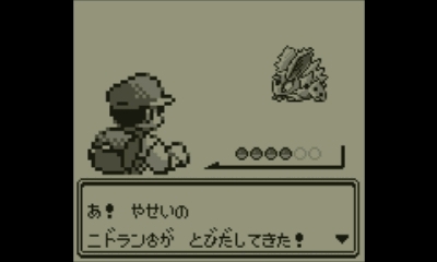 ポケットモンスター赤 プレイ日記 その2 暇な人のブログ ポケットモンスター赤 プレイ日記 その2 暇な人のブログ