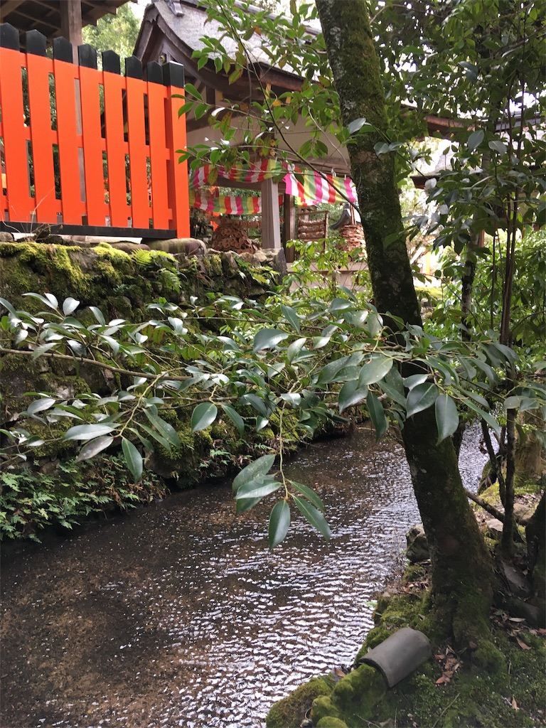 f:id:roy-7303-pkbs:20190121183448j:image f:id:roy-7303-pkbs:20190121183448j:image