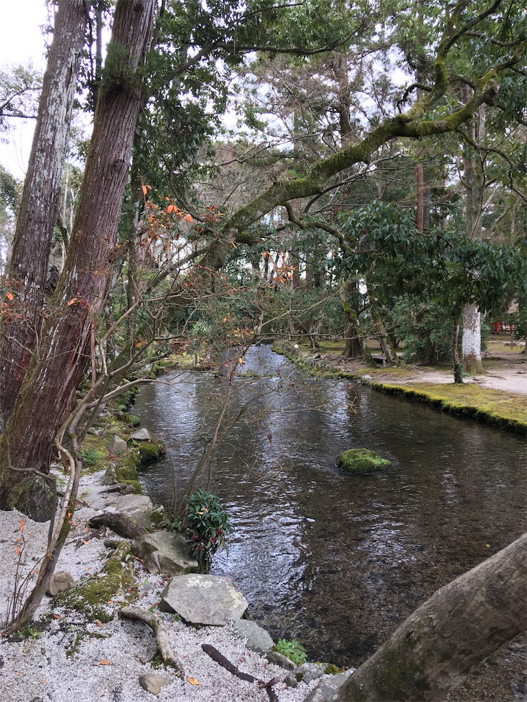 f:id:roy-7303-pkbs:20190121183513j:image f:id:roy-7303-pkbs:20190121183513j:image