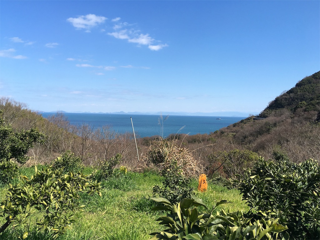 f:id:roy-7303-pkbs:20190326154450j:image