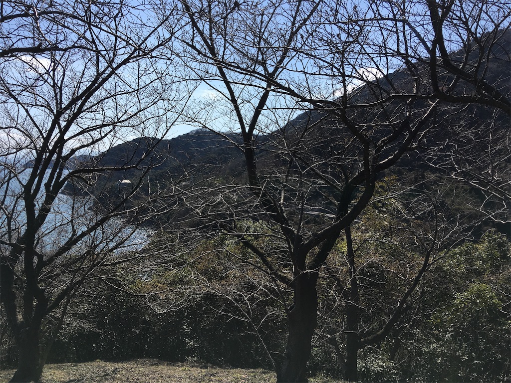 f:id:roy-7303-pkbs:20190326154500j:image
