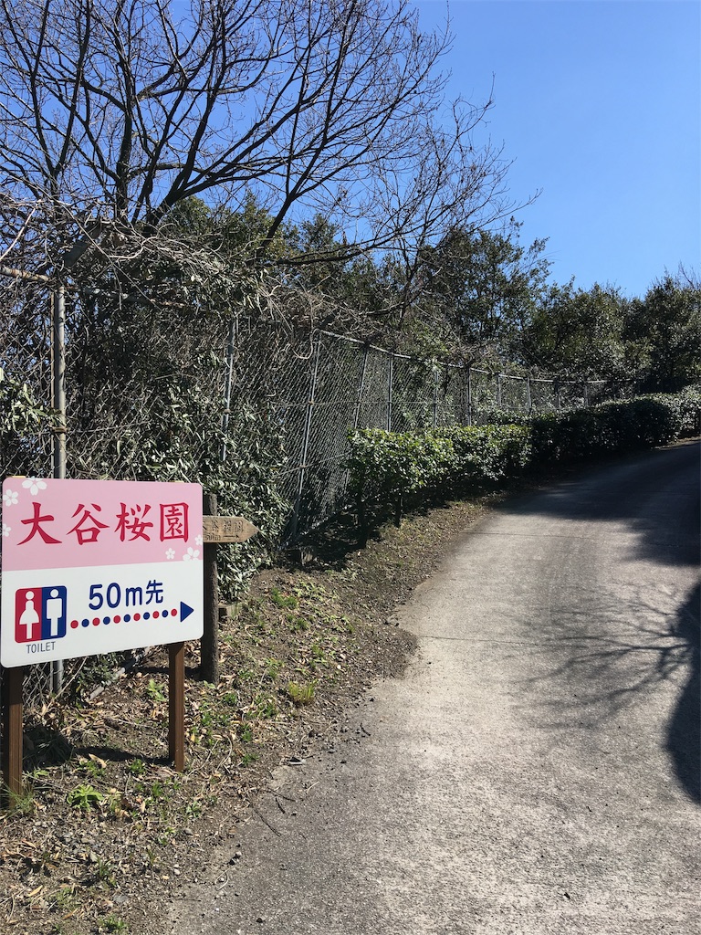f:id:roy-7303-pkbs:20190326154509j:image