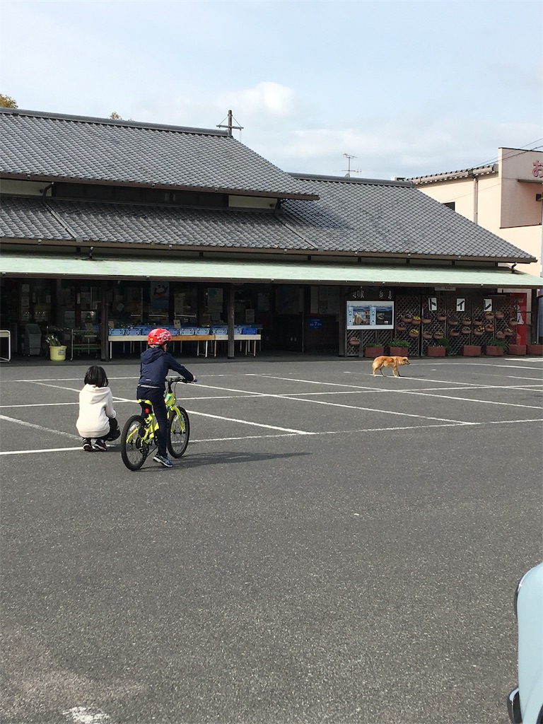 f:id:roy-7303-pkbs:20190326170952j:image