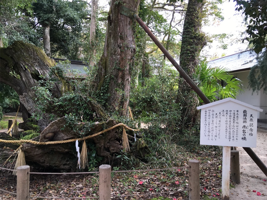 f:id:roy-7303-pkbs:20190326170956j:image