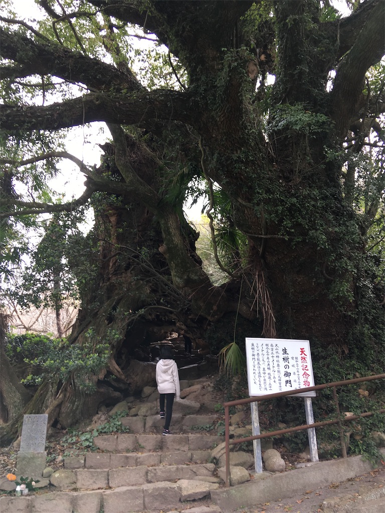 f:id:roy-7303-pkbs:20190326171006j:image