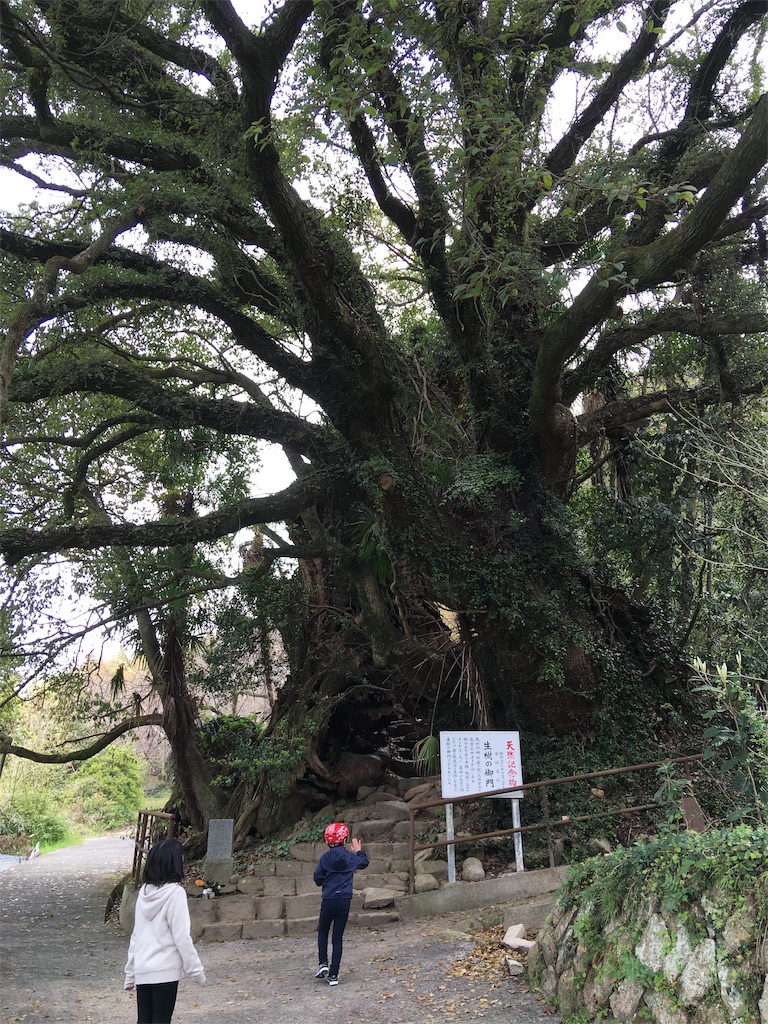 f:id:roy-7303-pkbs:20190326171010j:image