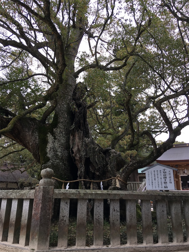 f:id:roy-7303-pkbs:20190326171030j:image