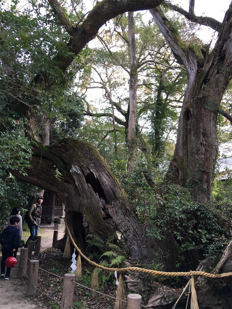 f:id:roy-7303-pkbs:20190326171035j:image