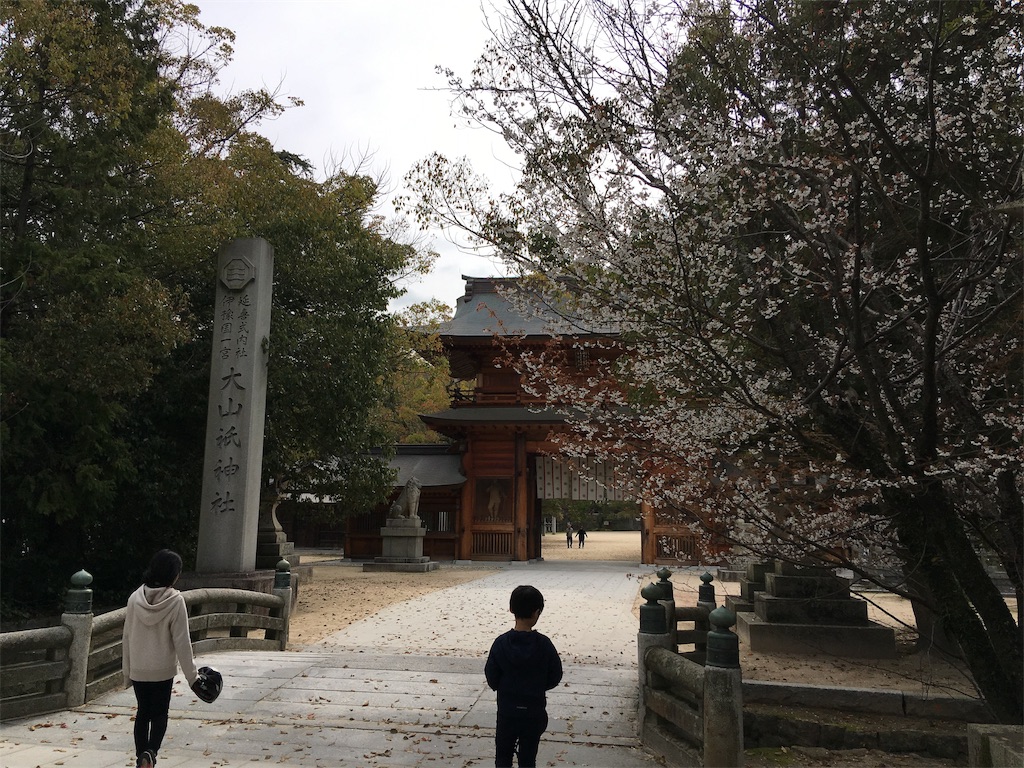 f:id:roy-7303-pkbs:20190326171116j:image