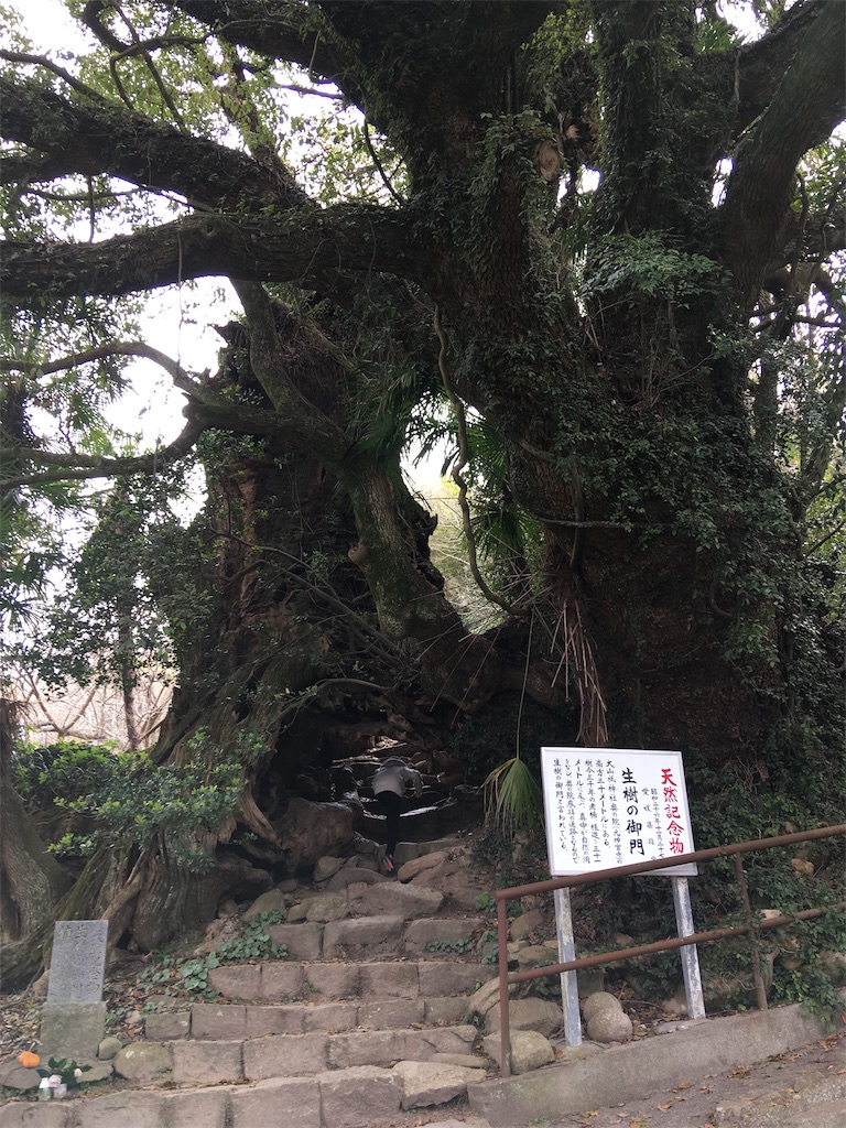 f:id:roy-7303-pkbs:20190326171128j:image