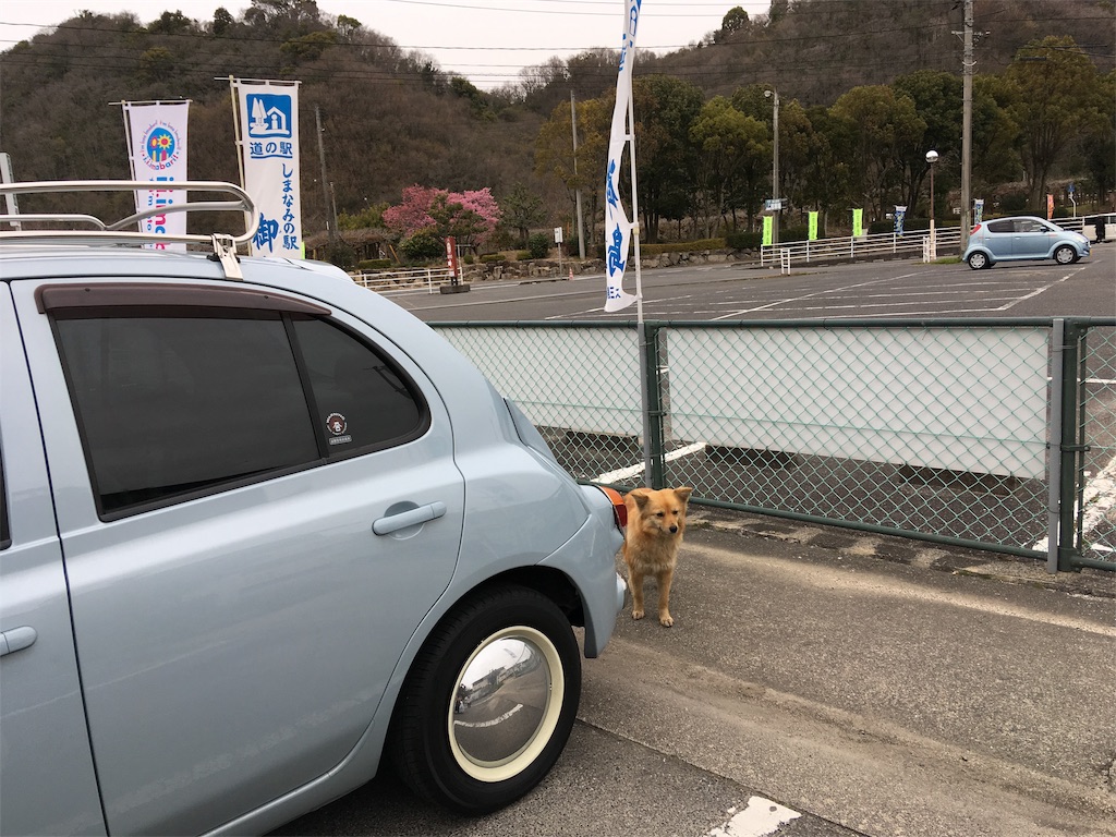 f:id:roy-7303-pkbs:20190326171355j:image