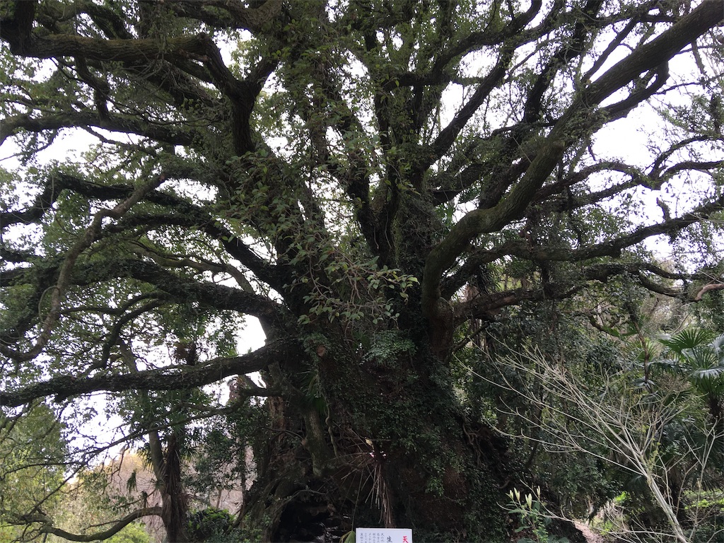 f:id:roy-7303-pkbs:20190327125311j:image