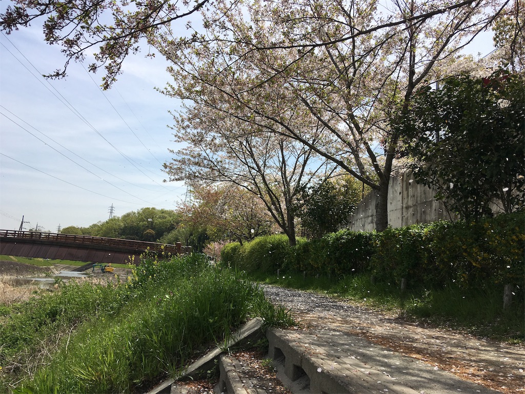 f:id:roy-7303-pkbs:20190418145023j:image