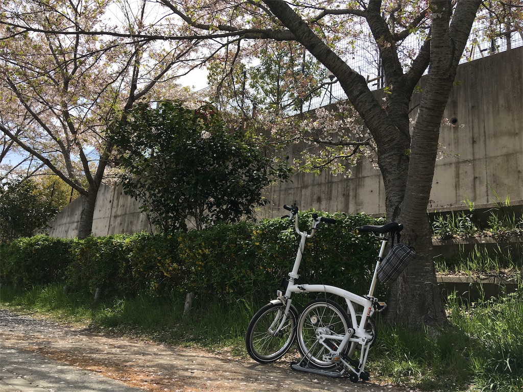 f:id:roy-7303-pkbs:20190418145736j:image