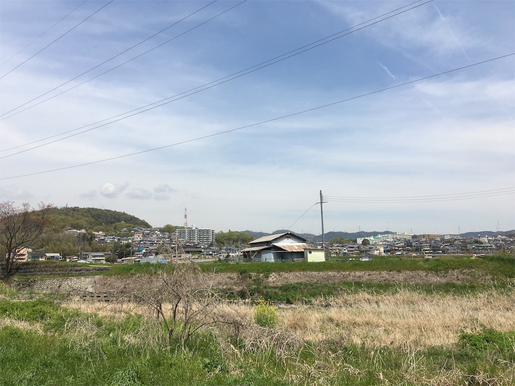 f:id:roy-7303-pkbs:20190418152931j:image