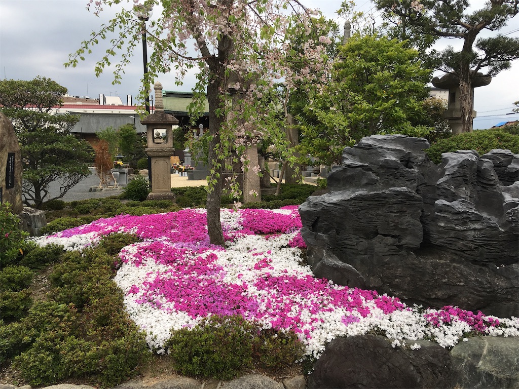 f:id:roy-7303-pkbs:20190419144655j:image