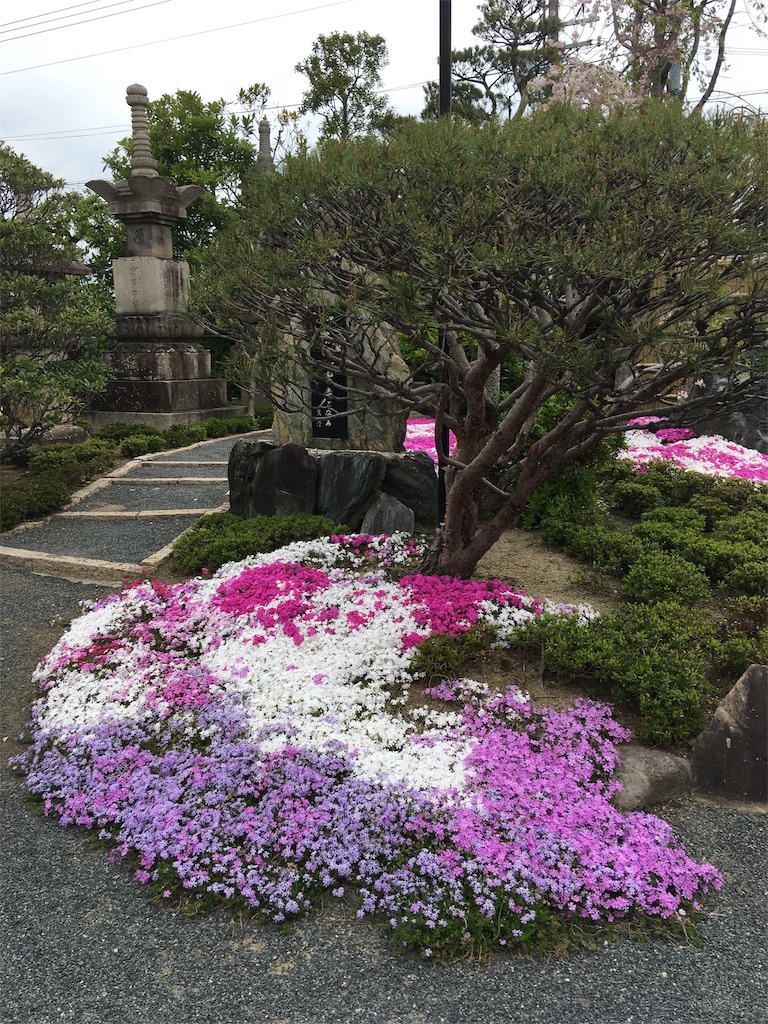 f:id:roy-7303-pkbs:20190419144658j:image
