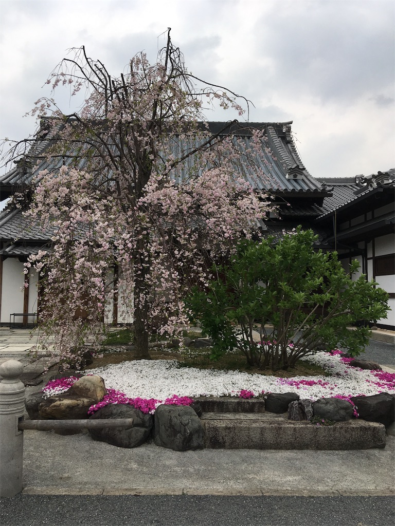 f:id:roy-7303-pkbs:20190419144716j:image