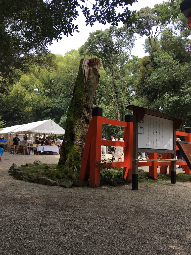 f:id:roy-7303-pkbs:20190728172454j:image