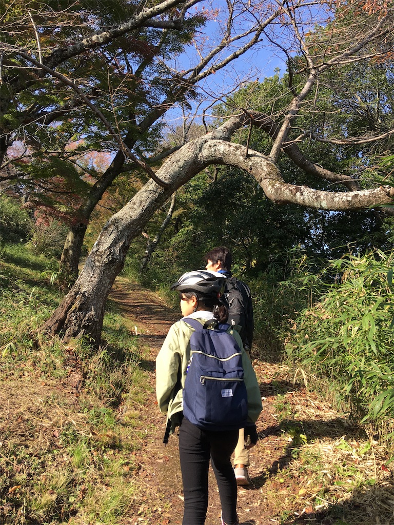 f:id:roy-7303-pkbs:20191118120711j:image